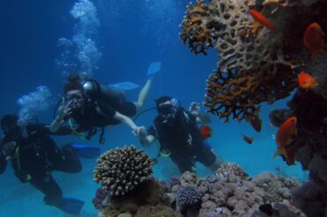 scuba-diving-coutse-for-beginners-in-phuket-dive-center