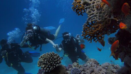 scuba-diving-coutse-for-beginners-in-phuket-dive-center