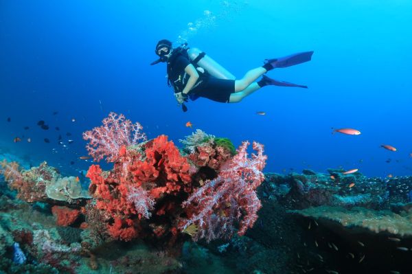 Phuket Dive Sites