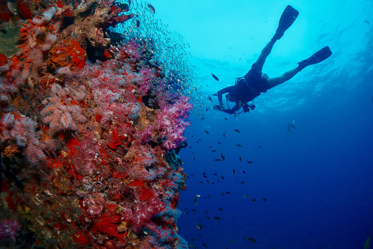 Phuket Dive Sites