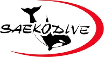 Best Diving in Phuket